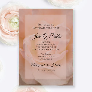 Invitation Célébration de Rose Pale de la vie