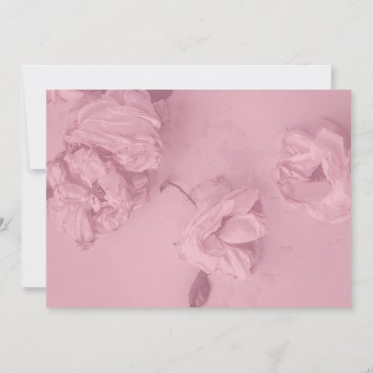 Invitation Célébration rose de roses de la vie (Dos)