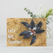 Invitation Cercle de poules noires et blanches mangeant de la (Debout devant)