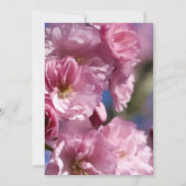 Invitation cerisier rose fleurs mariage de printemps (Dos)