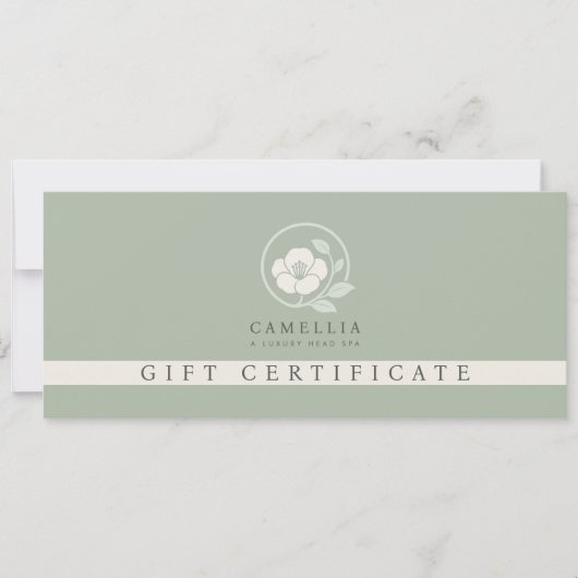 Invitation Certificat Cadeau de Spa de Tête Professionnel Mod (Devant)