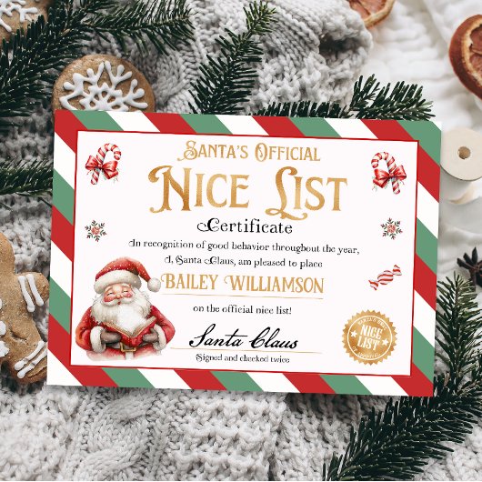 Invitation Certificat Nice de Père Noël approuvé deux fois vé
