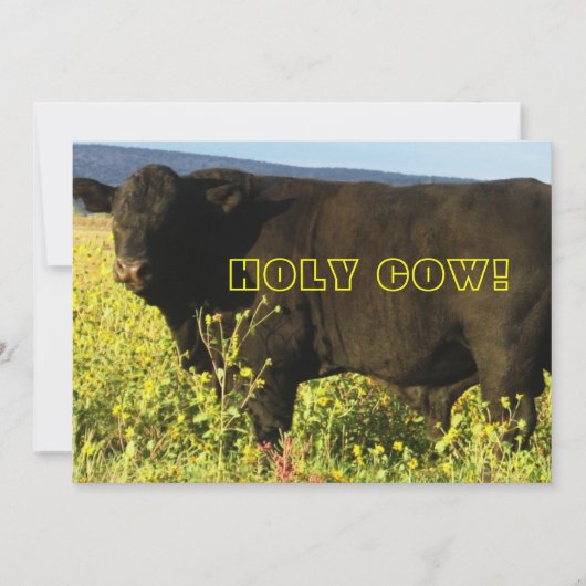 Invitation C'est l'heure du rassemblement !  Vache sacrée - W (Devant)