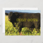 Invitation C'est l'heure du rassemblement ! Vache sacrée - We (Devant / Derrière)