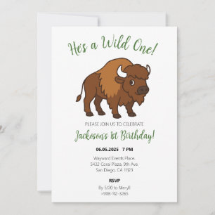 Invitation C'est un parti Anniversaire de enfant occidental W