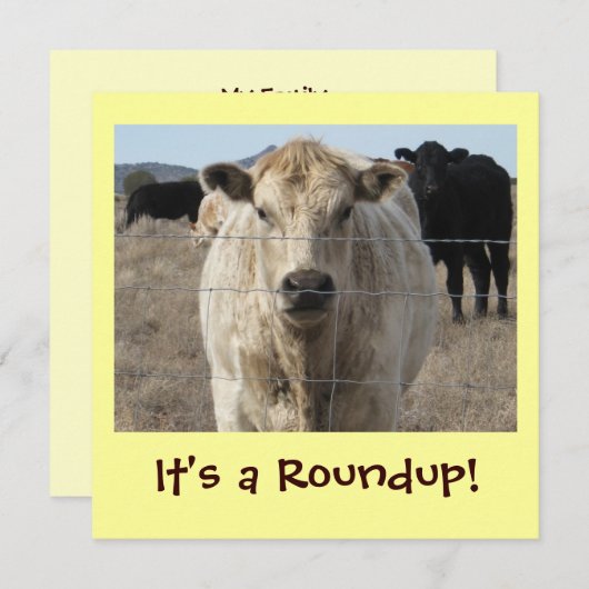 Invitation C'est un Roundup ! Célébration de Cattle Drive (Devant / Derrière)
