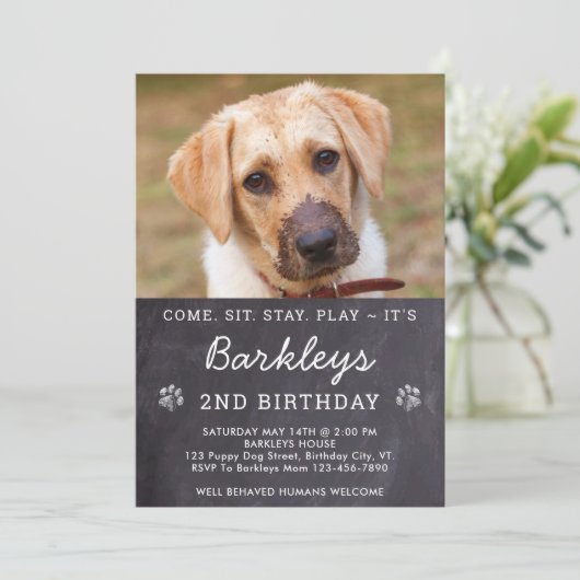 Invitation Chalkboard Chien Chien Chien Chien Chien Anniversa (Debout devant)