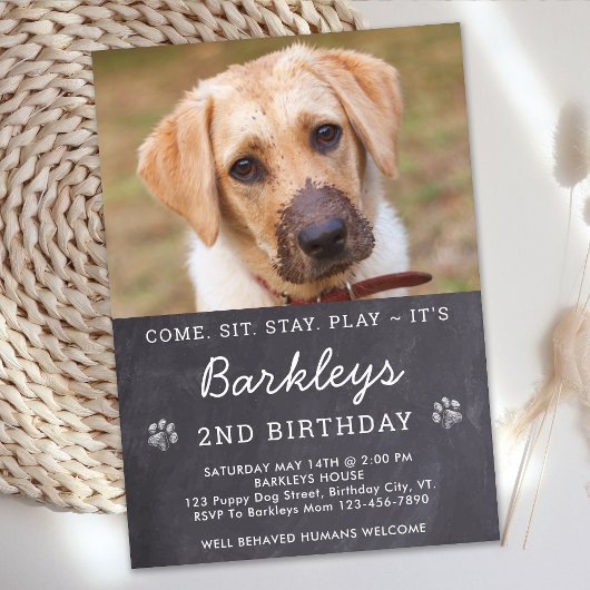 Invitation Chalkboard Chien Chien Chien Chien Chien Anniversa