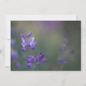 Invitation champ de l'invitation Lupine horizontale (Dos)