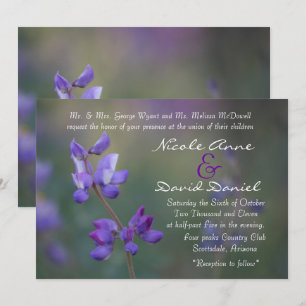 Invitation champ de l'invitation Lupine horizontale