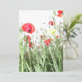 Invitation Champ de pavot Fleur de la nature (Debout devant)