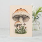 INVITATION CHAMPIONNAT (Debout devant)