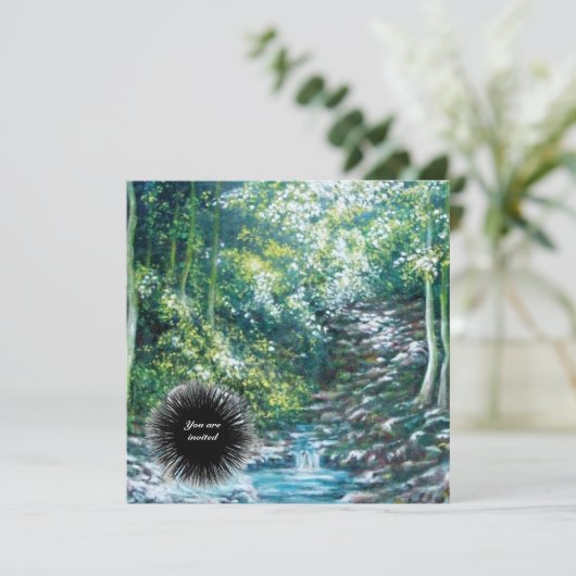 INVITATION CHANSONS D'ÉTÉ DANS LA FORÊT (Debout devant)