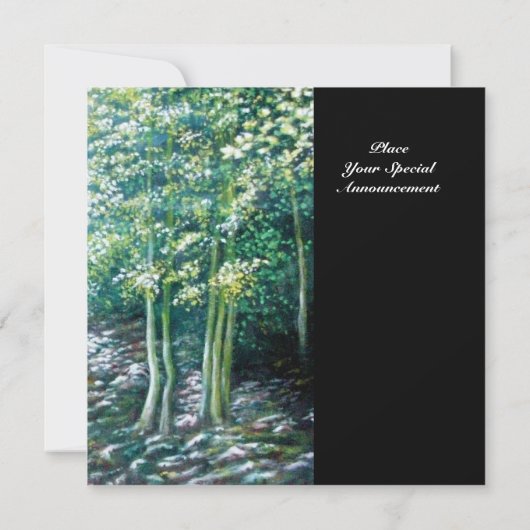 INVITATION CHANSONS D'ÉTÉ DANS LA FORÊT (Dos)