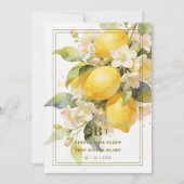 Invitation Charming Mediterranean Botanical Floral Lemons (Devant)