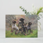 Invitation Chasse faisan avec GSP (Debout devant)