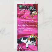 INVITATION CHAT AVEC CASQUETTE HARLEQUIN ET MASQUERADE DE FÊT (Dos)