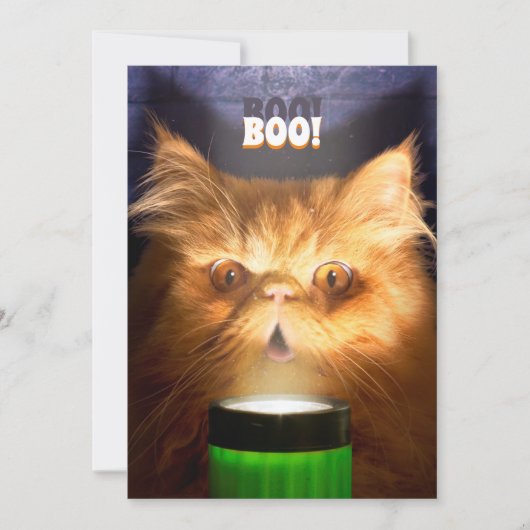 Invitation Chat avec lampe de poche (Devant)