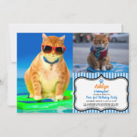 Chat avec lunettes de soleil surfant dans l'océan