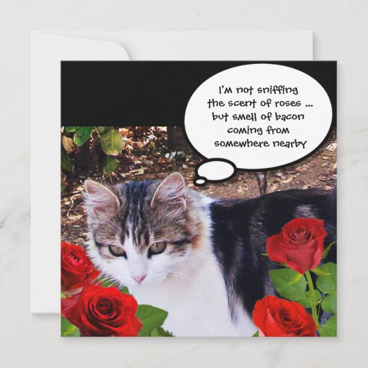 INVITATION CHAT AVEC ROSES ROUGES BACON BRUNCH PARTI (Devant)