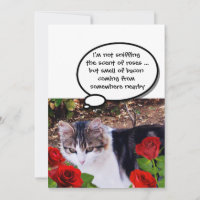 CHAT AVEC ROSES ROUGES BACON BRUNCH PARTI