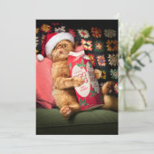 Invitation Chat buvant du lait de poule (Debout devant)