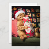 Invitation Chat buvant du lait de poule (Devant / Derrière)