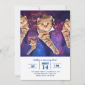 Invitation Chat cherchant dans l'espace côté trou déchiré (Devant)