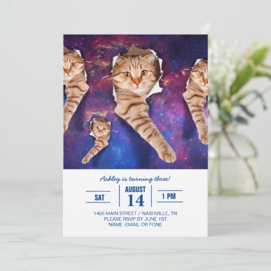 Invitation Chat cherchant dans l'espace côté trou déchiré (Debout devant)