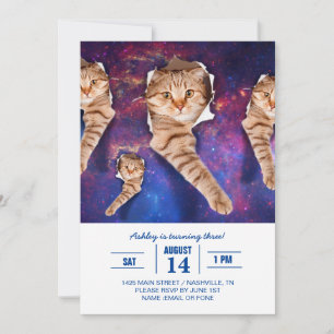 Invitation Chat cherchant dans l'espace côté trou déchiré