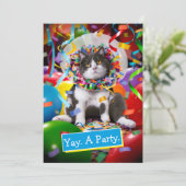 Invitation Chat Dans Cône De Fête (Debout devant)