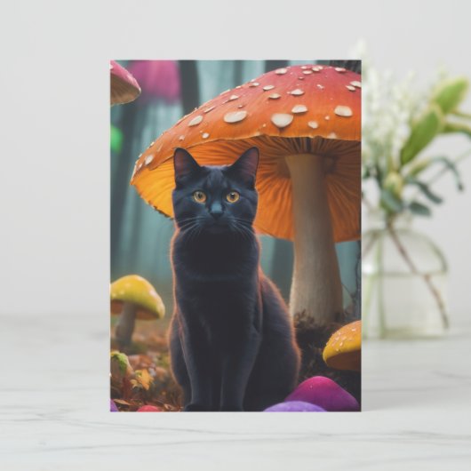 Invitation chat dans les MUSHROOM (Debout devant)