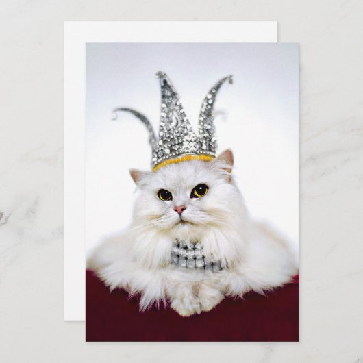 Invitation Chat dans une couronne (Devant / Derrière)