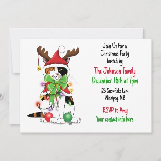 Invitation Chat de Noël amusant (Devant)