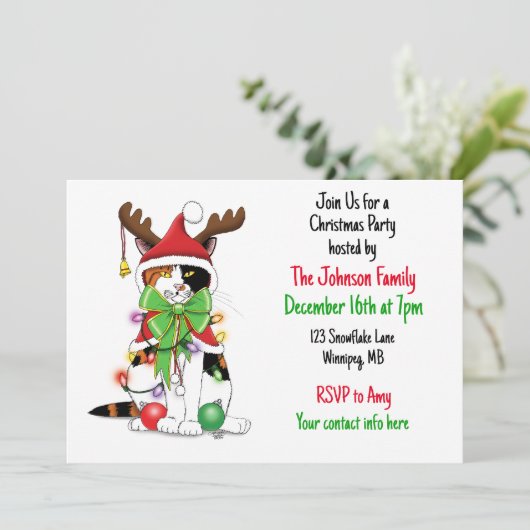 Invitation Chat de Noël amusant (Debout devant)