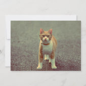 Invitation Chat drôle avec lunettes (Dos)