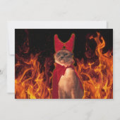 Invitation Chat drôle en costume de diable d'Halloween (Dos)