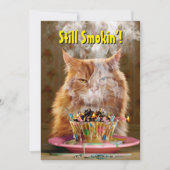 Invitation Chat grumpy drôle avec gâteau d'anniversaire fondu (Devant)