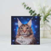 Invitation Chat Maine Coon Fond Bleu Étoiles (Debout devant)