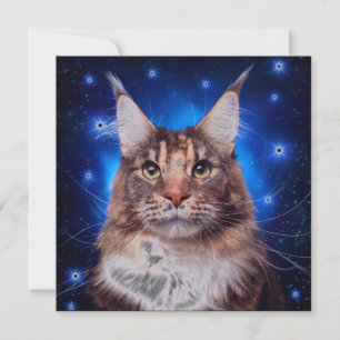 Invitation Chat Maine Coon Fond Bleu Étoiles