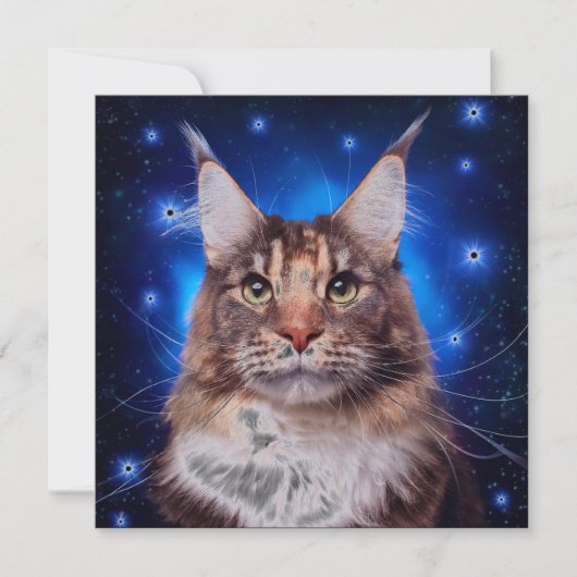Invitation Chat Maine Coon Fond Bleu Étoiles (Devant)