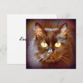 Invitation chat noir (Devant / Derrière)