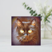 Invitation chat noir (Debout devant)