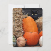 Invitation Chat noir et fête d'Halloween Citrouille (Devant)