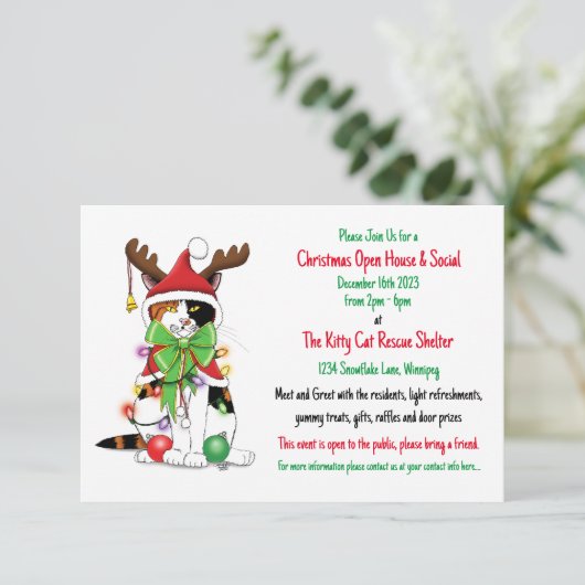 Invitation Chat Secourt Noël Open House (Debout devant)