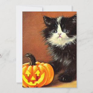 Invitation Chaton d'Halloween noir et blanc vintage