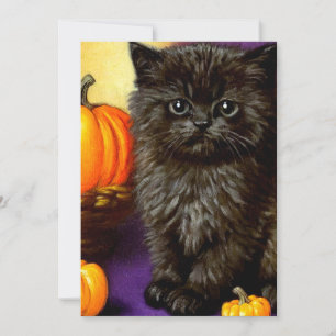 Invitation Chaton vintage d'Halloween