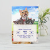 Invitation Chatons amusants dans le champ vert. (Debout devant)