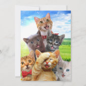 Invitation Chatons amusants dans le champ vert. (Dos)