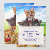 Invitation Chatons amusants dans le champ vert. (Devant / Derrière)